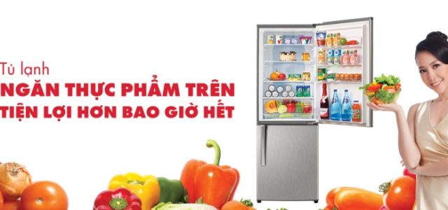 nen-chon-mua-tu-lanh-Sanyo-cho-gia-dinh